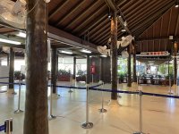 IMG_8538.JPEG IMG_8538.JPEG