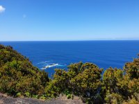 20210614_120724.jpg 20210614_120724.jpg