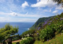 20210615_105227.jpg 20210615_105227.jpg