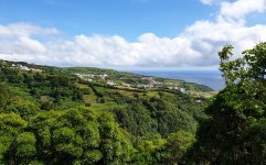 20210615_105252.jpg 20210615_105252.jpg