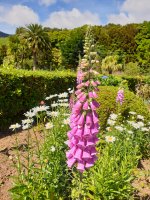 20210615_105913.jpg 20210615_105913.jpg