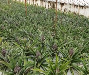 20210616_154735.jpg 20210616_154735.jpg