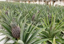 20210616_154739.jpg 20210616_154739.jpg