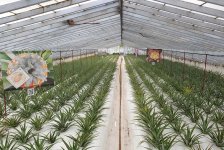 20210616_154949.jpg 20210616_154949.jpg