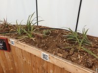 20210616_155419.jpg 20210616_155419.jpg