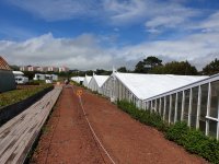 20210616_155545.jpg 20210616_155545.jpg