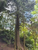 20210618_112724.jpg 20210618_112724.jpg