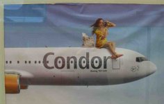 Condor.jpg