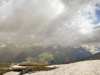 IMG_4227.jpg