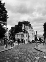 IMG_9545.jpeg IMG_9545.jpeg