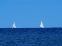 DSCN8741.JPG