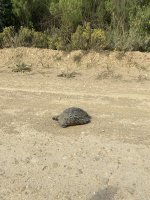 B324B1E2-D64C-4C72-B634-0A2C8A2017E0.jpeg