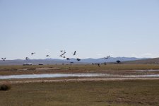 MONGOLIA 2011 (15 von 222).jpg