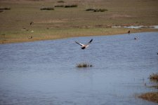 MONGOLIA 2011 (23 von 222).jpg