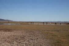 MONGOLIA 2011 (61 von 222).jpg