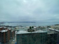 IMG_0336.jpeg IMG_0336.jpeg