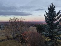 IMG_20211027_162334.jpg