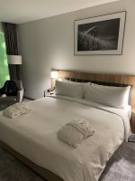 6F030811-1DE3-4F5A-914D-F260315B0670.jpeg