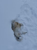 IMG_20220219_122335.jpg IMG_20220219_122335.jpg