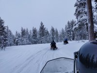 IMG_20220220_150310.jpg IMG_20220220_150310.jpg