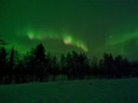 IMG_20220220_222902.jpg IMG_20220220_222902.jpg