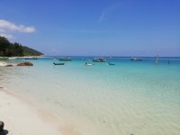 IMG_20220131_115701.jpg