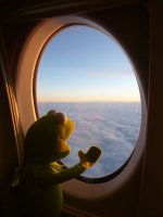 kermit-amsterdam-01-s.jpg