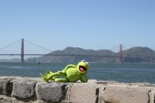 kermit-san-francisco-10-s.jpg