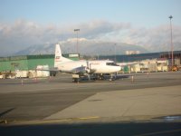 IMG_4627.jpg