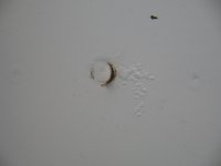 IMG_11500.JPG