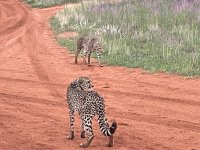 IMG_0192 2.JPG IMG_0192 2.JPG