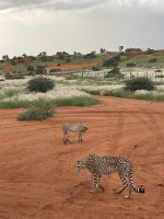 IMG_0191 2.JPG IMG_0191 2.JPG