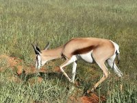 PHOTO-2022-03-25-12-25-05.jpg PHOTO-2022-03-25-12-25-05.jpg