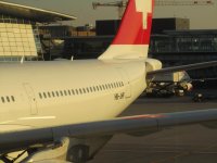 IMG_3794.jpg