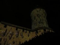 IMG_1358.jpg