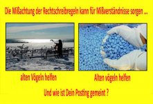 alte_voegel.jpg