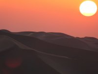 1660134323181.JPG