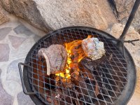 IMG_0331.JPG IMG_0331.JPG