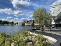 IMG_2713.jpg IMG_2713.jpg