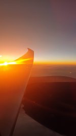 20220929_050444.jpg