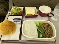 Asiana Meal Eco.jpg