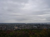 DSC00633_2.jpg