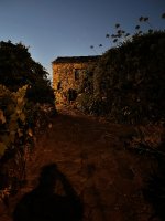 IMG_6821.JPEG
