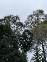 IMG_5649_.jpg