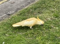 IMG_5758_.jpg