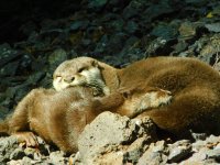 DSCN5404.JPG