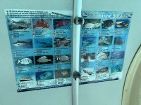 IMG_9085.JPG