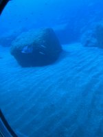 IMG_9092.JPG