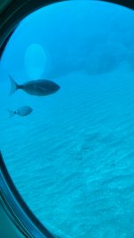 IMG_9122.JPG