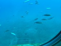 IMG_9138.JPG